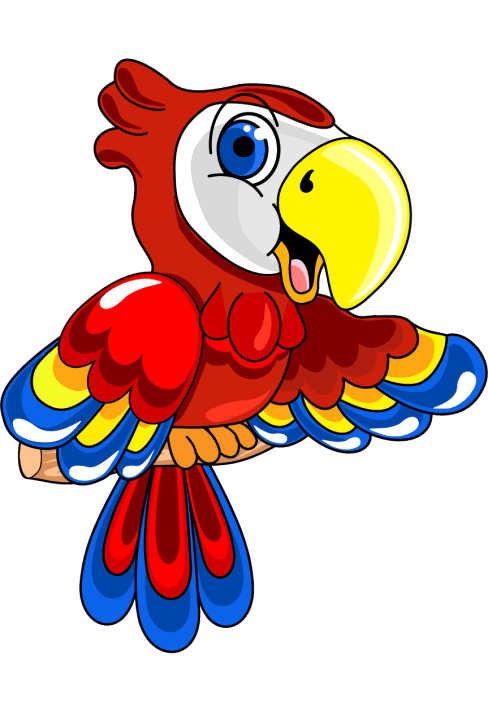 Koko